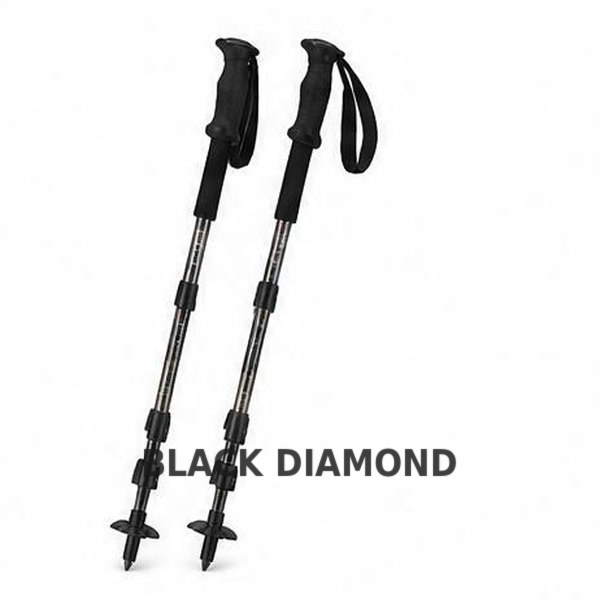 Black Diamond Trail Ergo Cork Trekking Poles